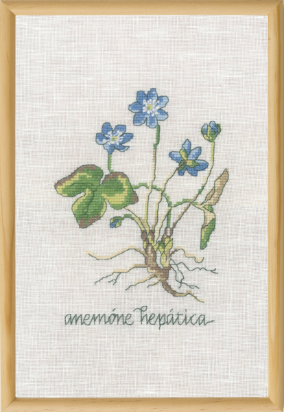 Embroidery Kit Blue Anemone R5799 20 x 30 cm / 8 x 12 in