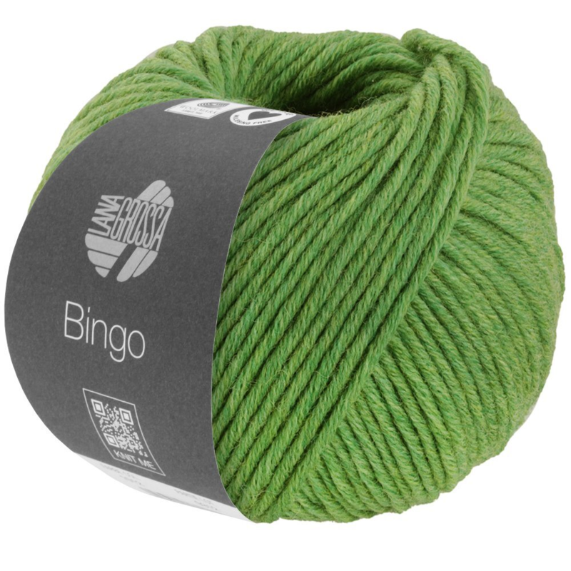 Lana Grossa Bingo 1036 Green mottled