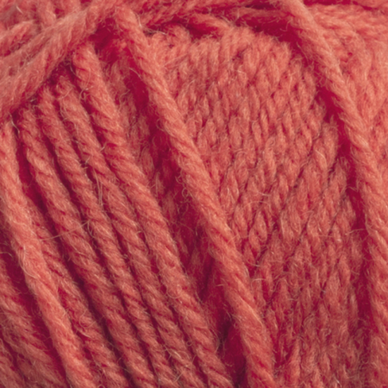 Svarta Fåret Ulrika 539 Cherry tomato