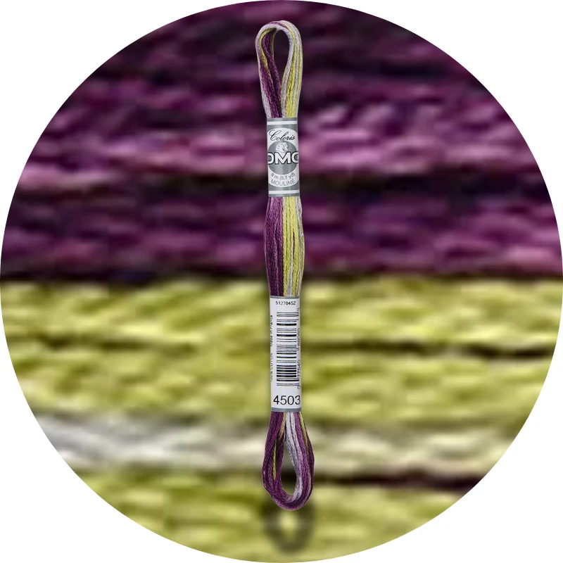 DMC Mouliné Coloris Embroidery Thread 4503