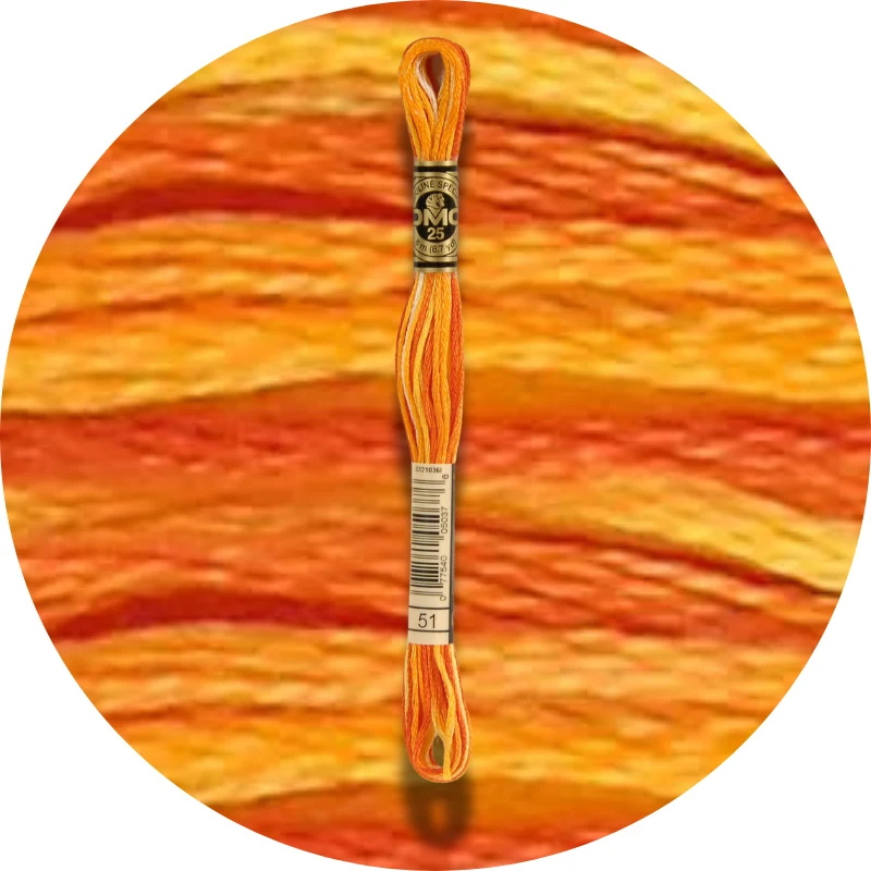 DMC Mouliné Spécial 25 Embroidery Thread, Color Changing 0051