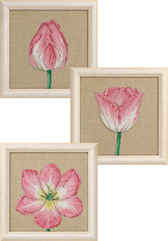 Embroidery Kit Tulips in Phases 3 x 25 x 25 cm / 9.84 x 9.84 in