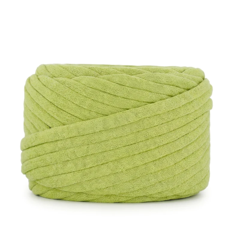 LindeHobby T-Shirt Lux 43 Pistachio green