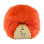 Navia Fípa 1584 Cherry tomato