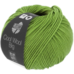 Cool Wool Big 1022 Clover green