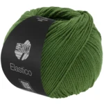 Lana Grossa Elastico 192 Leaf green