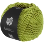 Lana Grossa Elastico 202 Pistachio