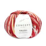 Katia Concept Kalevi Socks 204 Red-Brown-Yellow-Rust red