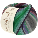Lana Grossa Landlust Die Sockenwolle 130 Emerald/Turquoise/Dark-/Blue-violet/Light gray/Gray/Old rose/Blackberry striped