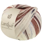 Lana Grossa Landlust Die Sockenwolle 726 Black brown/Grey brown/Ecru/Light beige/Night blue/Dark red/Light grey