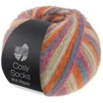 Lana Grossa Cosy Socks Multi Stripes 154 Dark grey/grey blue/fuchsia/light green/cream/orange