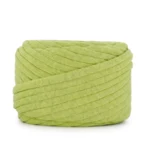 LindeHobby T-Shirt Lux 43 Pistachio green
