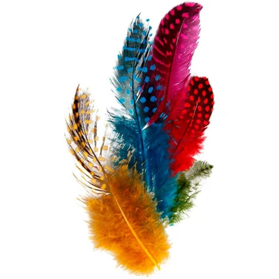 Pearl fowl feathers, 3 g, 100 pcs